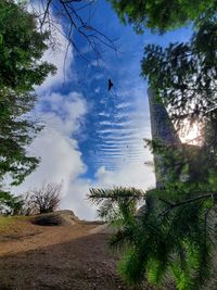 View of birds on land against sky