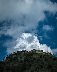 Low angle view of trees on mountain against sky