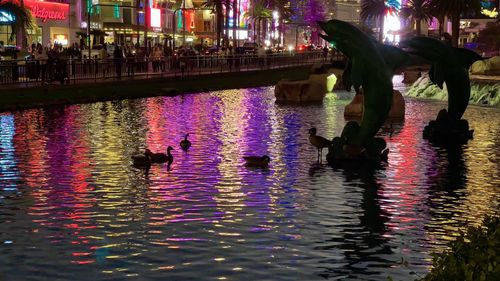 Group of people in lake at night