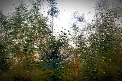 Close-up of water drops on glass