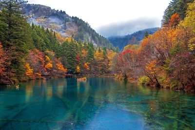 Scenic view of lake by trees during autumn