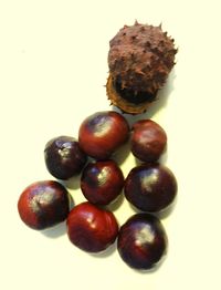 Close-up of fruit over white background