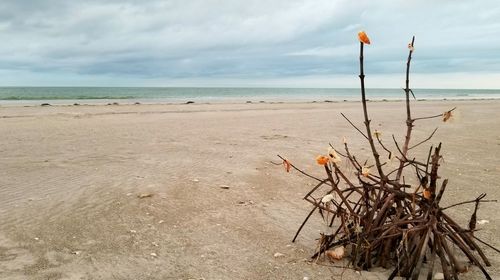 Scenic view of beach against sky