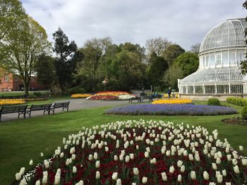 Scenic view of park against cloudy sky