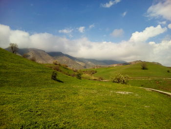 Scenic view of field against sky