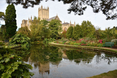 Reflection of trees and buildings in lake