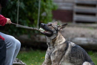 Side view of man with dog