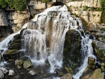 Scenic view of waterfall in forest