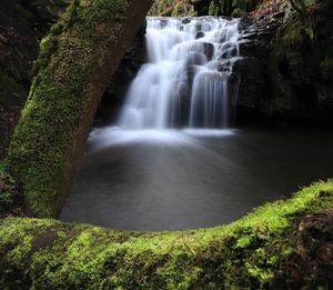 Scenic view of waterfall in forest