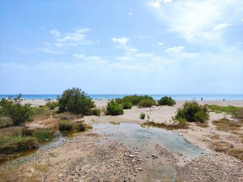 Scenic view of beach against sky