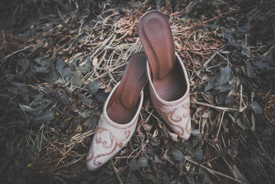 Low section of person wearing shoes on field