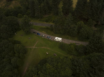 High angle view of road amidst trees in forest