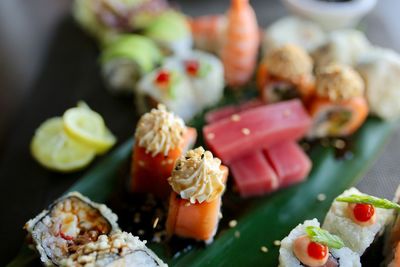 Close-up of philadelphia and red tuna served in plate