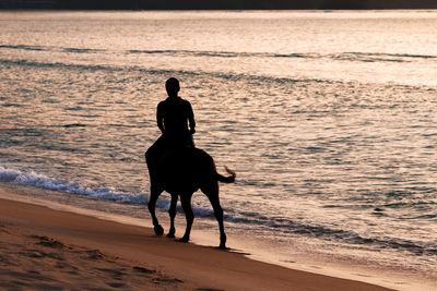 Man riding horse on beach