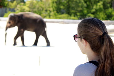 Side view of young woman with elephant