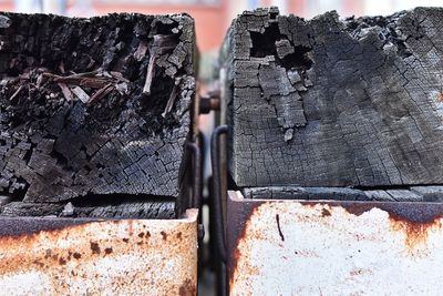 Close-up of old wooden log