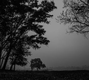 Bare trees on landscape