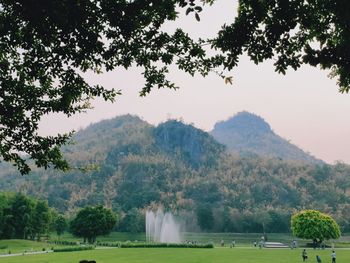 Scenic view of trees on field against sky