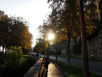 Street amidst trees and plants against sky