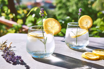 Cool lavender homemade lemonade with lemon slices and lavender flower. detox summer drink.