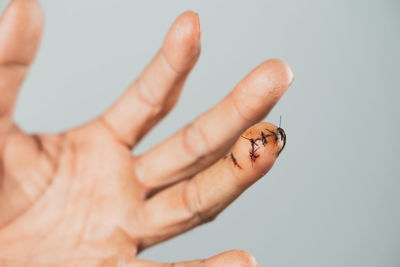 Close-up of insect on hand over white background