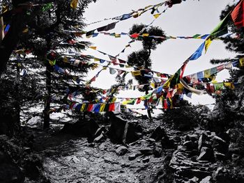 Low angle view of flags hanging on tree