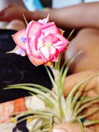 Close-up of rose bouquet