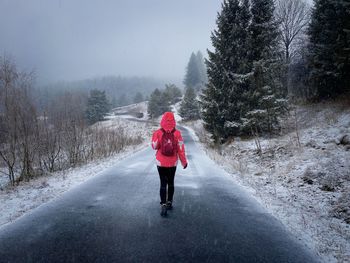 Woman hiking alone on an empty road surrounded by coniferous trees during a snowfall