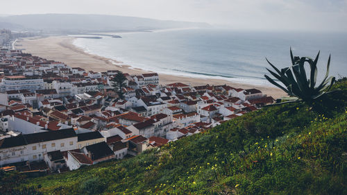 High angle view of residential buildings in town by sea