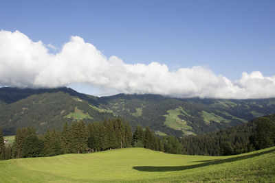 Scenic view of landscape against sky