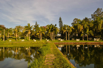 Panoramic view of palm trees by lake against sky