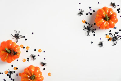 High angle view of orange flowers against white background