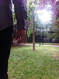 Low section of woman standing on tree trunk