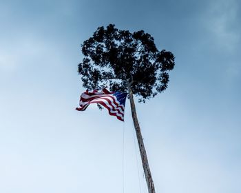 Low angle view of flag waving on tree against sky