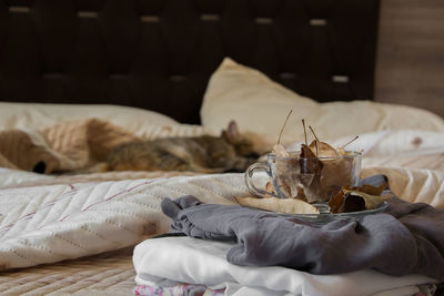 Close-up of a cat lying on bed