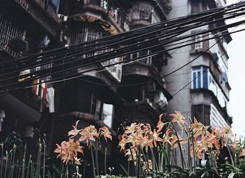 View of buildings in city