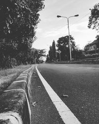 Empty road along trees