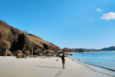 View of horse on beach against the sky