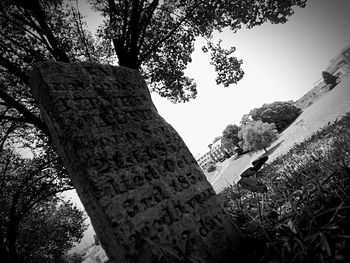 Low angle view of bare trees
