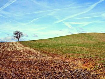 Scenic view of landscape against sky