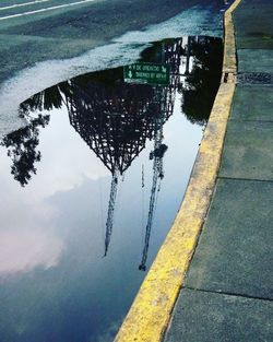 Reflection of trees in puddle