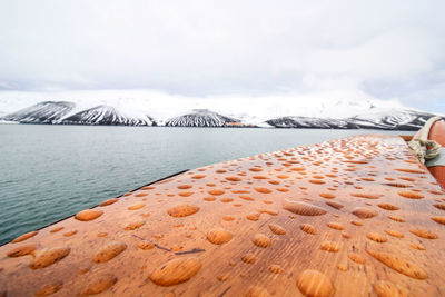 Scenic view of sea by snowcapped mountains against sky