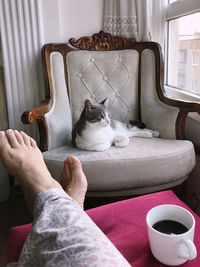 Morning pleasure with coffee and cat