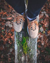 Low section of person standing on tree trunk