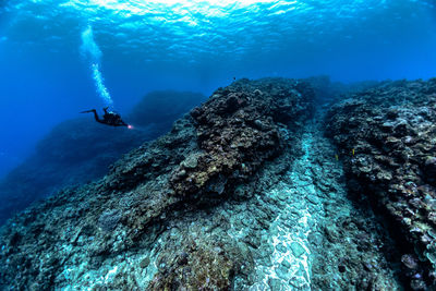 Scuba diver swimming in sea