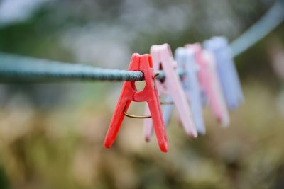 Close-up of clothes drying on clothesline