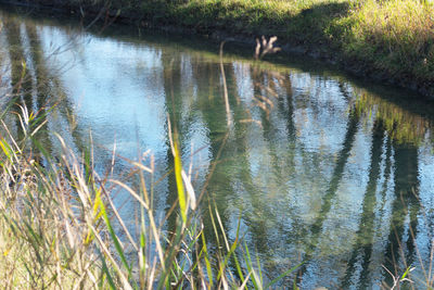 Scenic view of lake