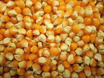 Detail shot of sweet corn kernels as background