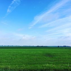 Scenic view of landscape against clear sky