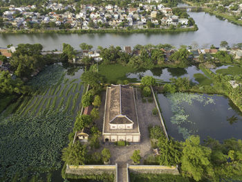 High angle view of a garden